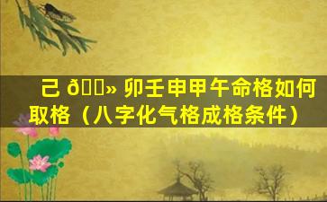 己 🌻 卯壬申甲午命格如何取格（八字化气格成格条件）